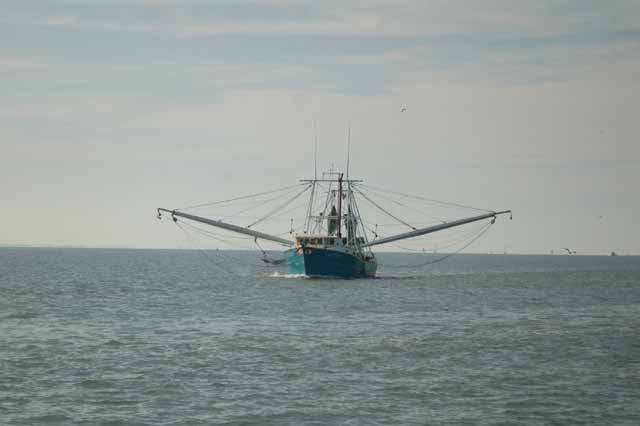 shrimp boat in galveston bay